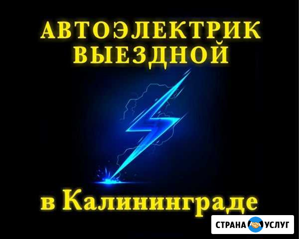 Автоэлектрик с выездом на выезд Калининград Калининград - изображение 1