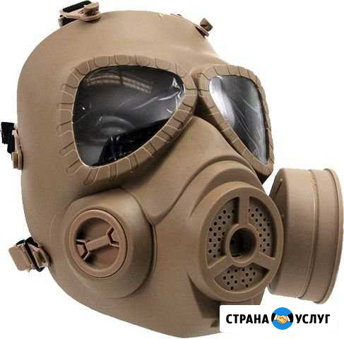 Уничтожение клопов,тараканов,муравьев Челябинск - изображение 1