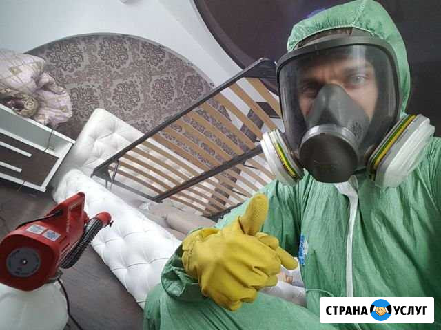 Уничтожение тараканов, клопов, клещей, дезинфекция Ульяновск - изображение 1