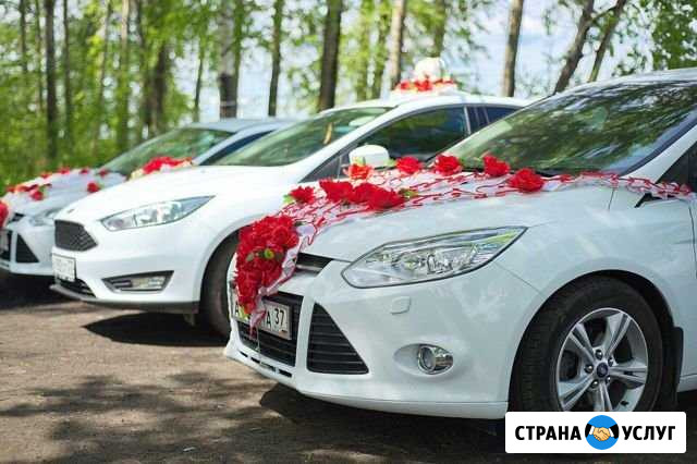 Свадебный кортеж Вичуга - изображение 1
