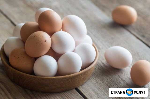 Яйца куриные домашние с бесплатной доставкой Черкесск - изображение 1