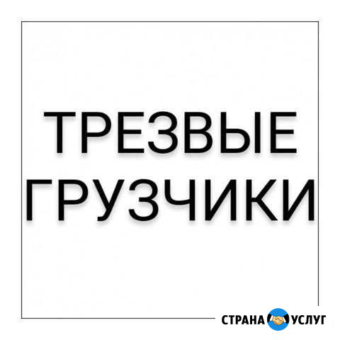 Услуги Грузчиков Воронеж - изображение 1