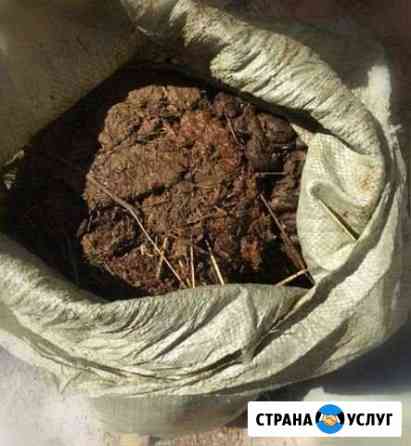Продажа перегноя Новосибирск