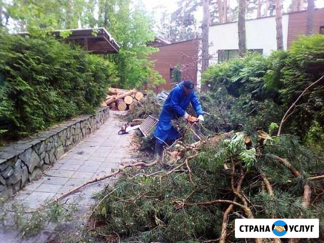 Очистка участка Сергиев Посад - изображение 1
