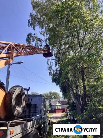 Аренда автовышки 18м. Спил аварийных деревьев Боровичи - изображение 1