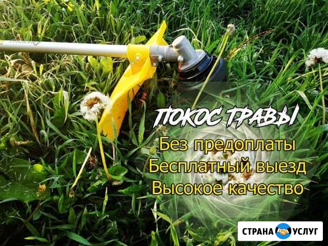 Покос травы Новомосковск - изображение 1