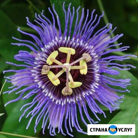Накрутка подписчиков в соц сетях Алагир - изображение 1
