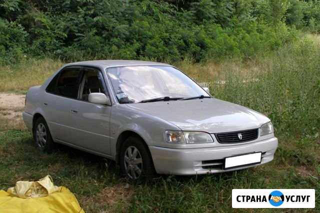Аренда авто Петропавловск-Камчатский - изображение 1