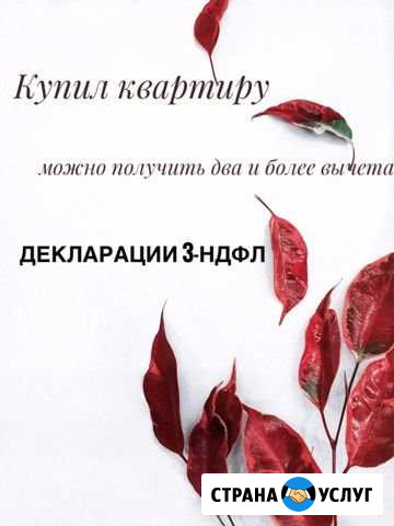 Декларация 3ндфл Красноярск - изображение 1