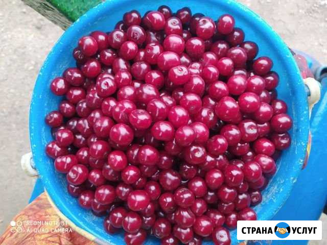 Доставка продуктов Октябрьский - изображение 1