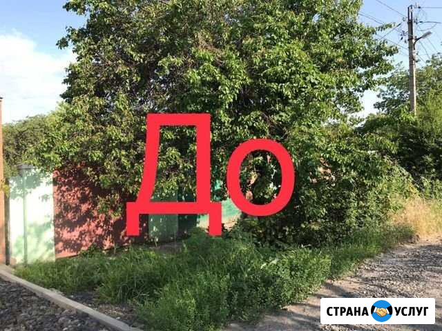 Уборка участка/Слом домов/Демонтаж дома/Спил дерев Ростов-на-Дону - изображение 1