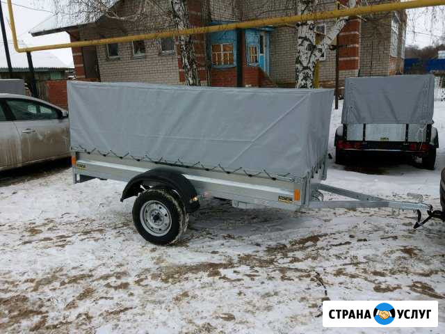 Аренда прицепа Кошки - изображение 1