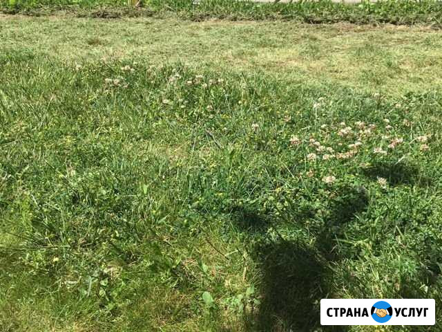 Покос травы Горячий Ключ - изображение 1