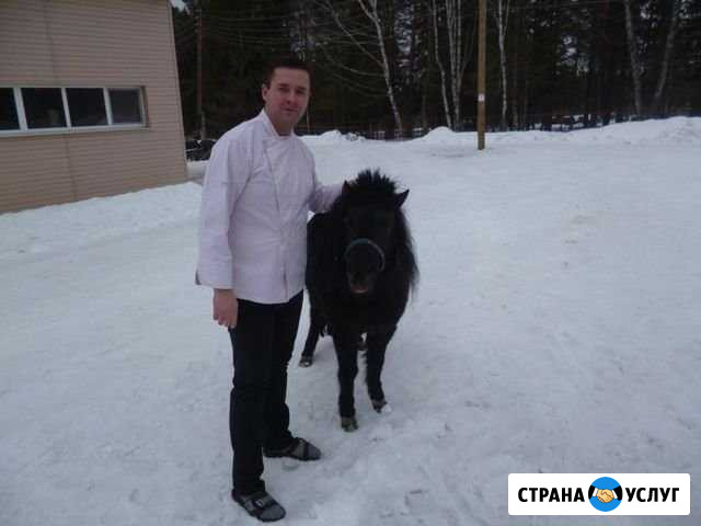 Выездной повар на дом, на дачу Екатеринбург - изображение 1