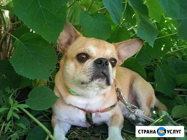 Вязка Орёл - изображение 1