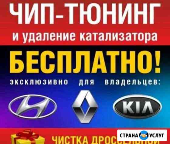 Удаление катализаторов (Чип тюнинг) Волгоград
