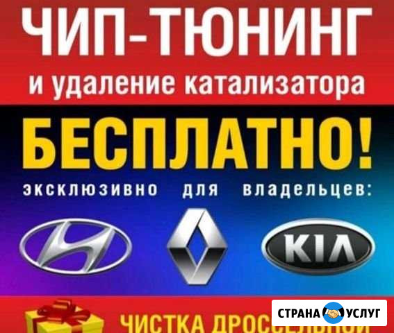 Удаление катализаторов (Чип тюнинг) Волгоград - изображение 1