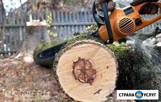 Спил деревьев И обрезка деревьев, продажа дров Таганрог