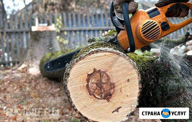 Спил деревьев И обрезка деревьев, продажа дров Таганрог - изображение 1
