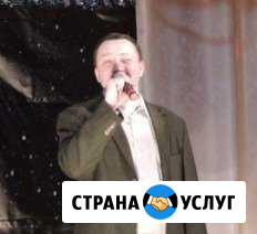 Поющий ведущий тамада Луга - изображение 1