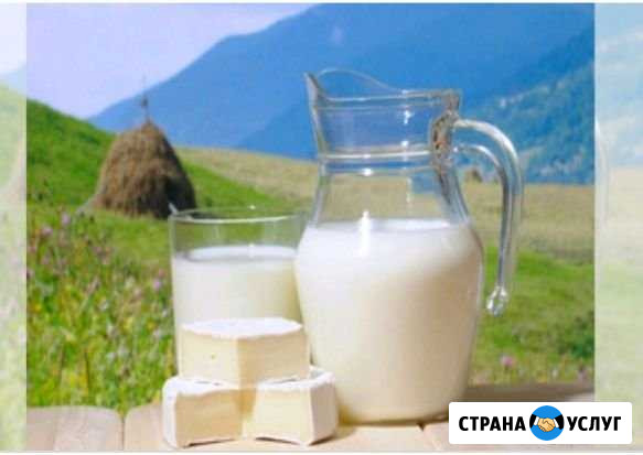 Молоко, творог, сметана. домашние Ханская - изображение 1
