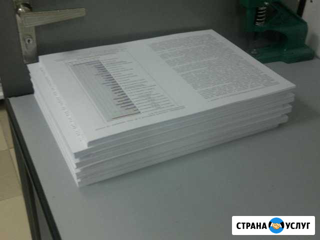 Копирование (ксерокопии) Краснодар - изображение 1