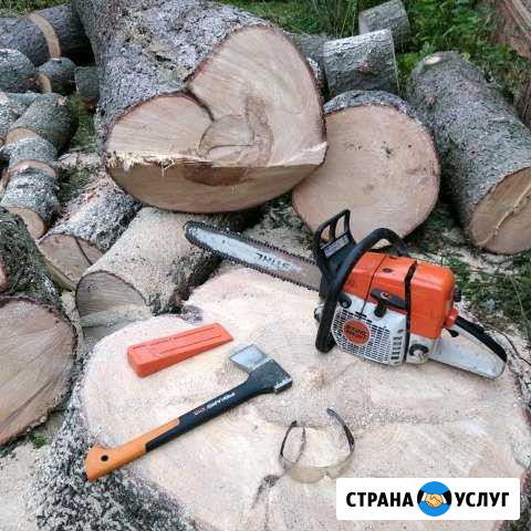 Спилить дерево, расчистка участка.Обрезка деревьев Санкт-Петербург - изображение 1