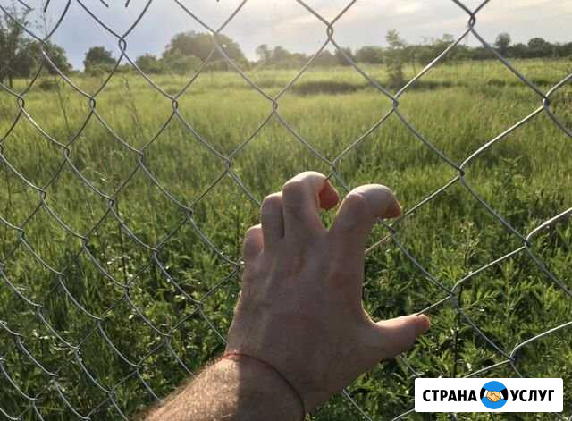 Покос травы, спил деревьев Владикавказ - изображение 1