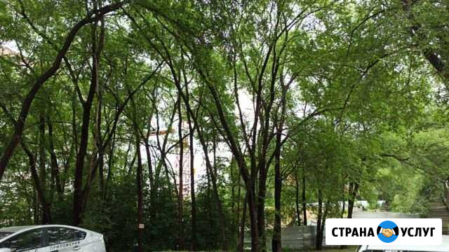 Срочный выкуп квартир г. Благовещенск Благовещенск - изображение 1
