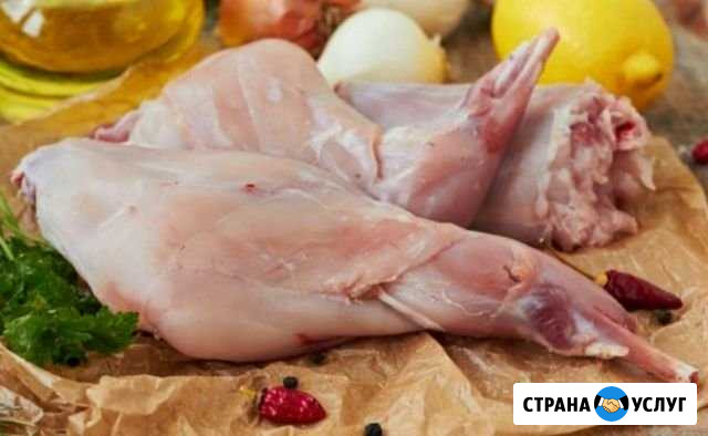Мясо кролика Мичуринск - изображение 1