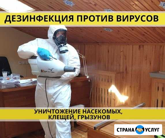 Дератизация Дезинсекция Дезинфекция.Уничтожение кл Тюмень - изображение 1