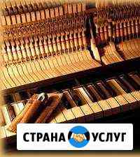 Настройщик пианино Нижний Новгород