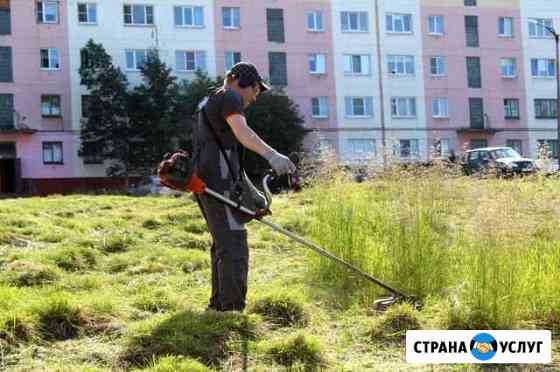 Покос травы Омск