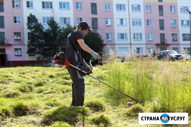 Покос травы Омск - изображение 1