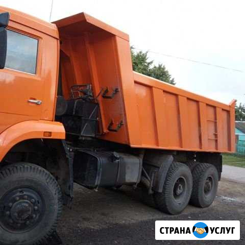 Аренда самосвала, вывоз мусора Рузаевка - изображение 1