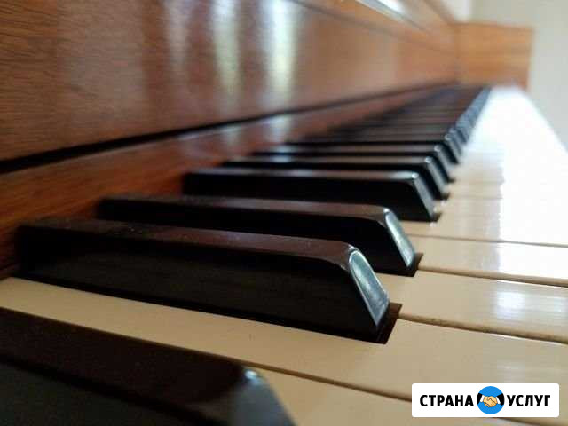 Профессиональная настройка пианино и роялей Москва - изображение 1