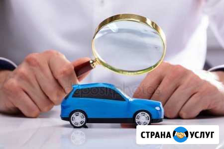 Помощь в покупке автомобиля Ванино - изображение 1