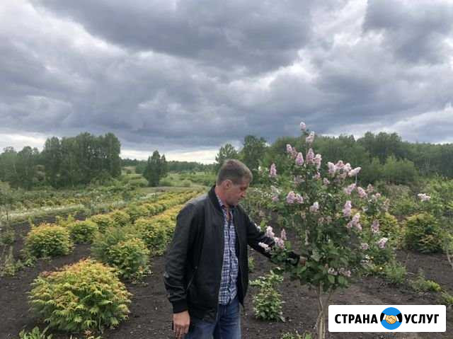 Озеленение. Благоустройство Красноярск - изображение 1
