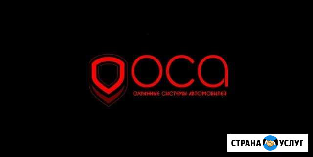 Сто оса Ухта - изображение 1