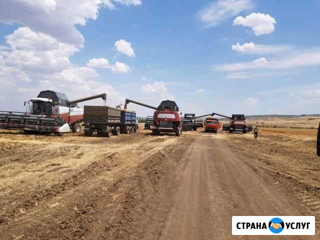 Уборка урожая 2019 Огаревка - изображение 1