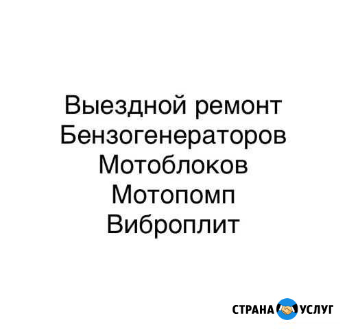 Несложный выездной ремонт бензотехники Ростов-на-Дону - изображение 1