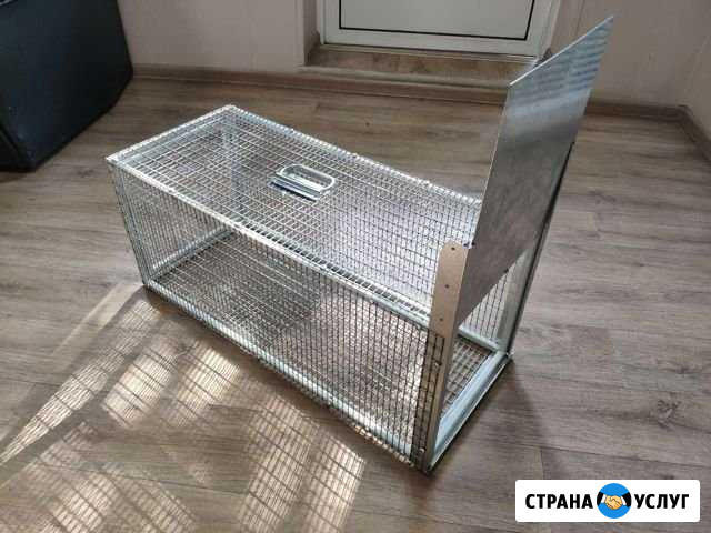 Котоловка Челябинск - изображение 1
