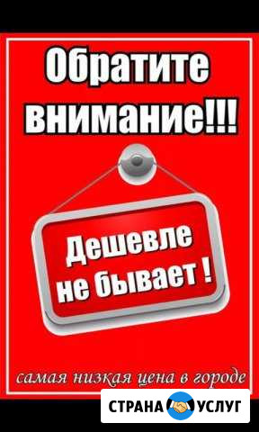 Передержка домашних животных Ухта - изображение 1