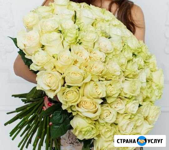 Цветы доставка самовывоз мелкий опт Челябинск - изображение 1
