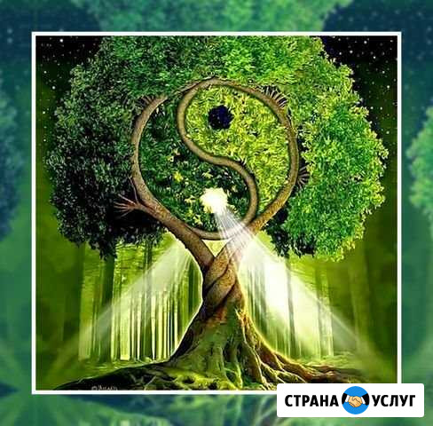 Психолог-консультант с выездом на дом Владимир - изображение 1