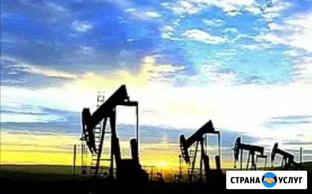 Дистанционное обучение Ухта - изображение 1
