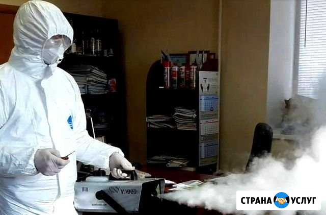 Уничтожение клопов, тараканов, блох, муравьёв Москва - изображение 1