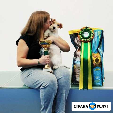 Груминг, тримминг собак Лесколово - изображение 1