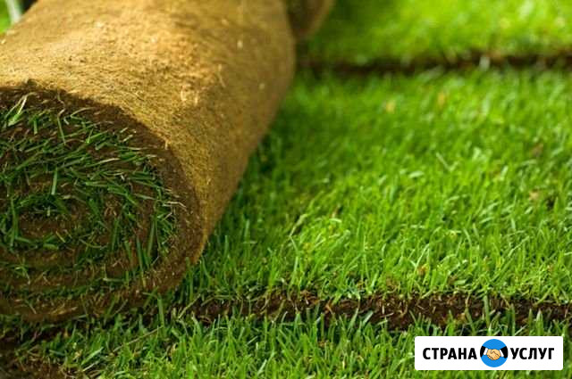Услуги по постилу газона Константиновск - изображение 1