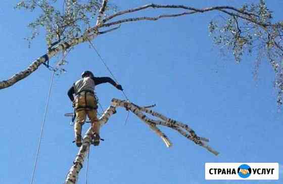 Спил и кронирование деревьев, ландшафтный дизайн Омск